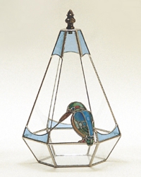 カワセミのテラリウム